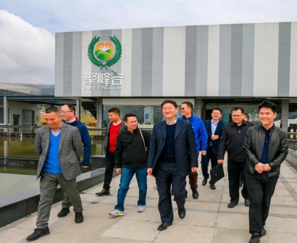 集团党委书记、董事长任丁率队调研聚峰谷