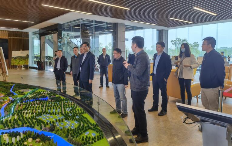 广西旅发集团党委书记、董事长容贤标考察集团文旅项目